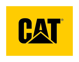 Home cat